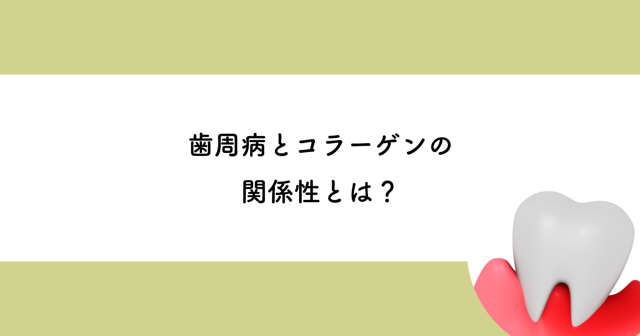 【武蔵小金井の歯医者】歯周病とコラーゲンの関係性とは 武蔵小金井の歯医者｜武蔵小金井駅前歯医者